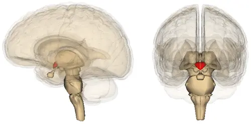 Images are generated by Life Science Databases(LSDB)