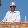Opteamyzer Reinin Traits Author